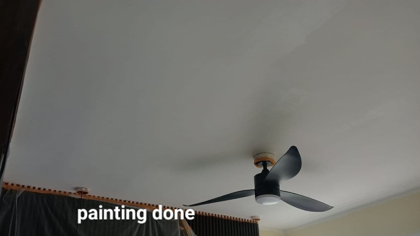 Mold Treatment